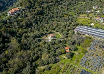 Foto 44 - Independent house S.da Provinciale Barbaira, Dolceacqua - photo 44