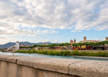 Foto 2 - Trilocale Strada Vicinale del Molino, Albenga - foto 2