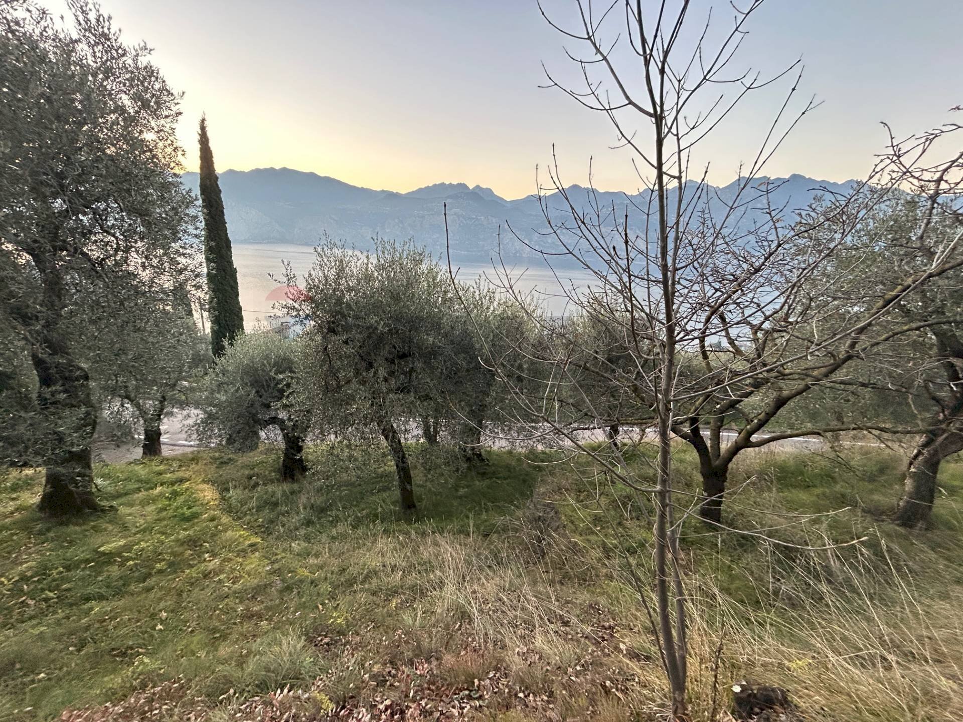 Vista delle montagne - Terreno agricolo via Panoramica, Malcesine - foto 1