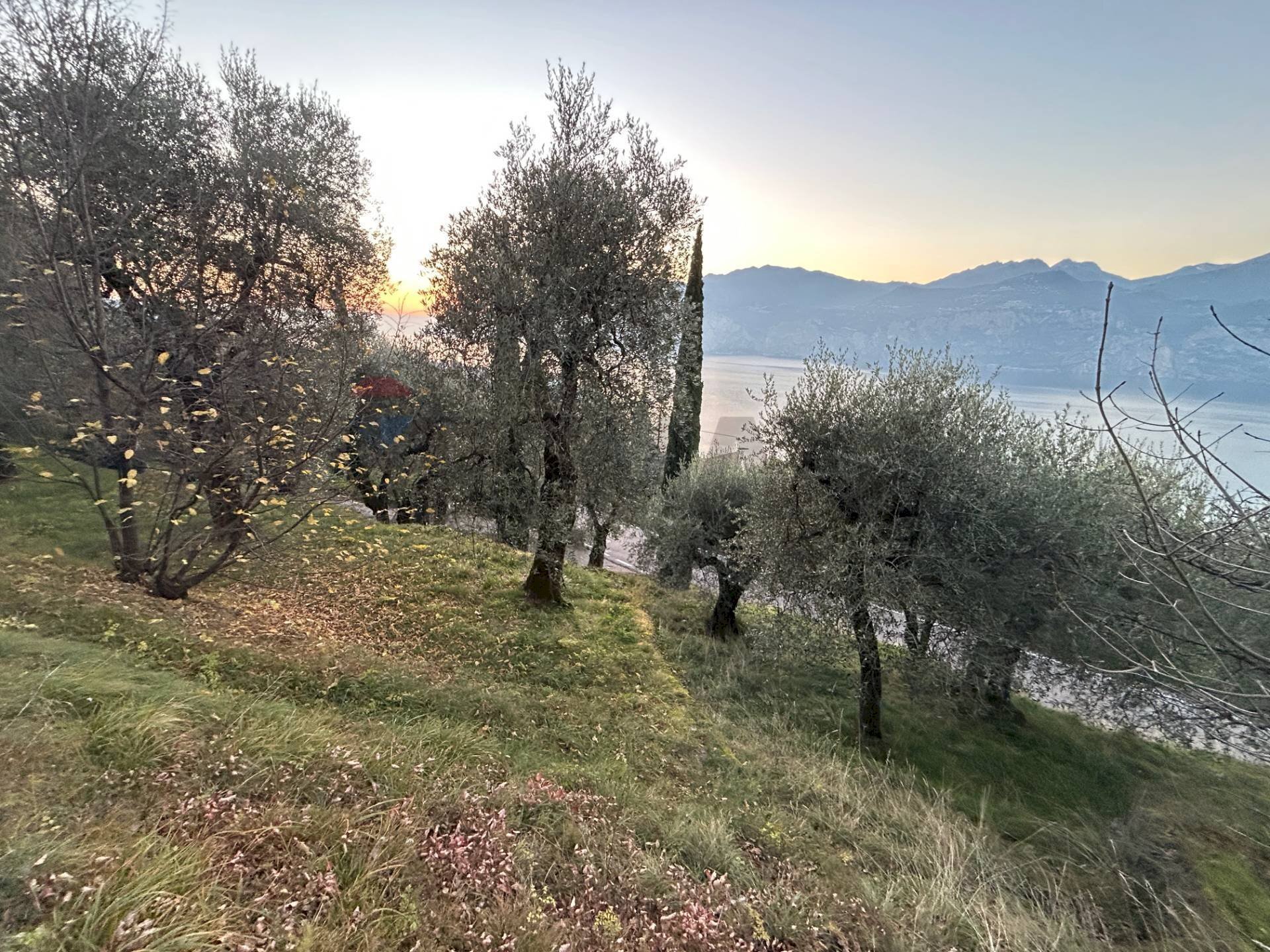 Vista delle montagne - Terreno agricolo via Panoramica, Malcesine - foto 2