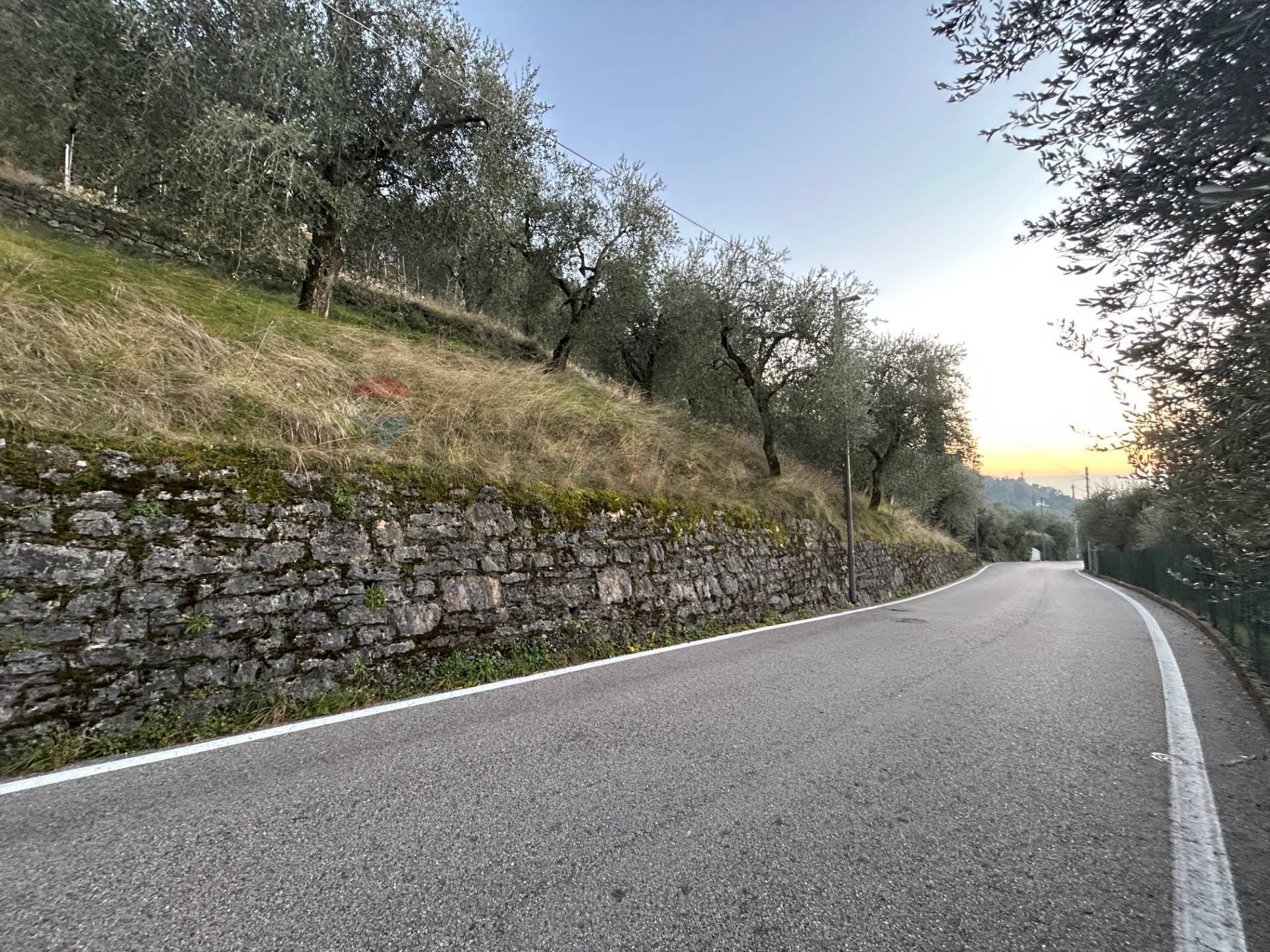 Non correlato - Terreno agricolo via Panoramica, Malcesine - foto 3