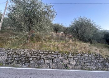 Non correlato - Terreno agricolo via Panoramica, Malcesine - foto 4