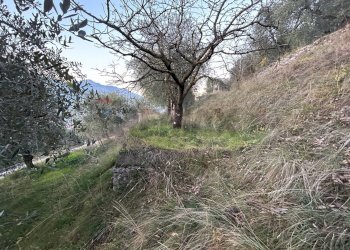 Non correlato - Terreno agricolo via Panoramica, Malcesine - foto 7