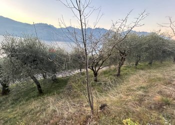 Vista delle montagne - Terreno agricolo via Panoramica, Malcesine - foto 9