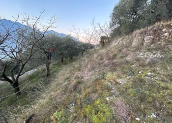 Non correlato - Terreno agricolo via Panoramica, Malcesine - foto 10