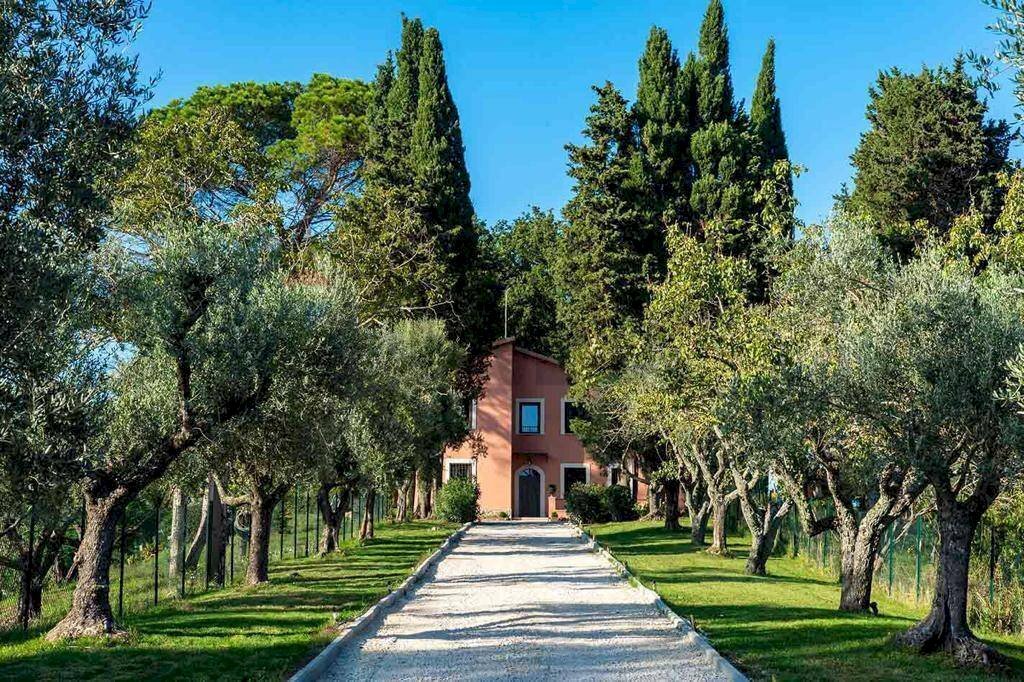 Giardino - Villa Via cassia km 25, Formello - photo 1