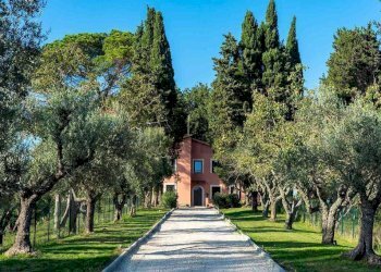 Giardino - Villa Via cassia km 25, Formello - photo 1