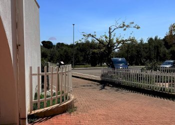 Terrazza - Quadrilocale Viale dell'Emigrante
 
82, Mattinata - foto 41