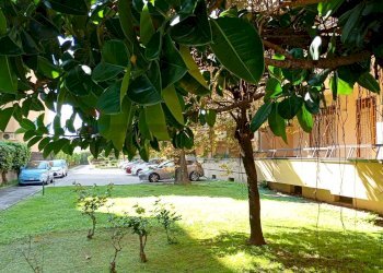 Giardino - Appartamento VIA DELLE VILLE
 
32, Caserta - foto 31