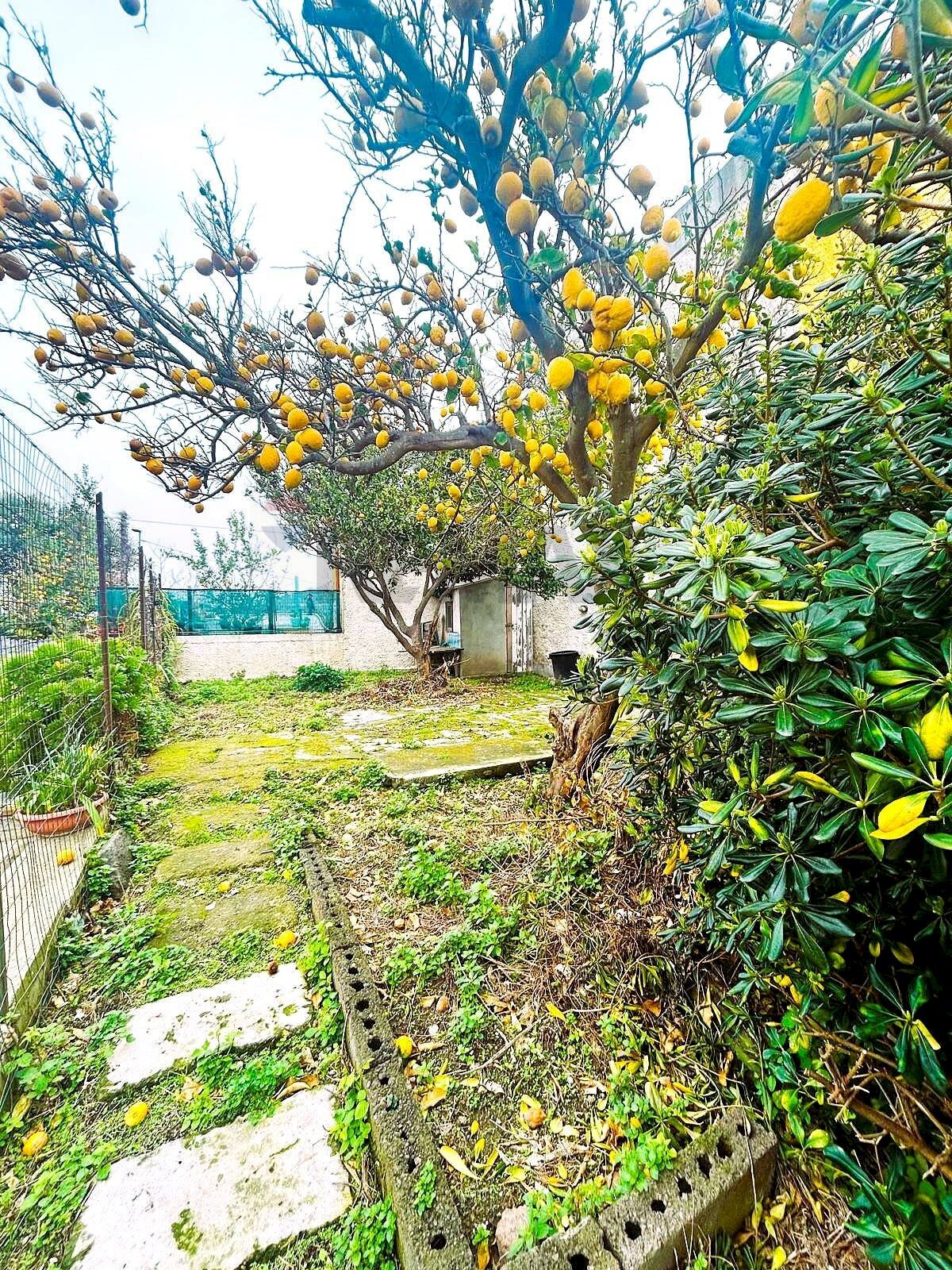 Giardino - Quadrilocale Forio - foto 2