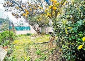 Giardino - Quadrilocale Forio - foto 2