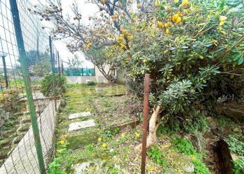 Giardino - Quadrilocale Forio - foto 7