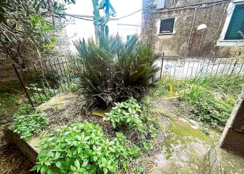 Giardino - Quadrilocale Forio - foto 8