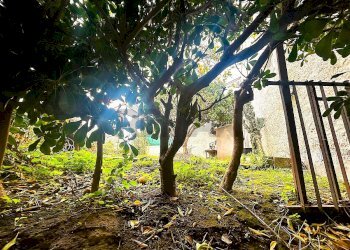 Giardino - Quadrilocale Forio - foto 9