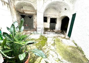 Giardino - Quadrilocale Forio - foto 10