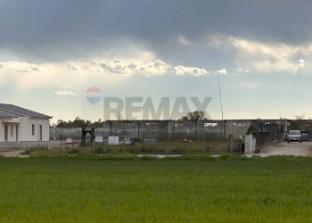 panoramica - Terreno edificabile via Oppioli
10, Cerea - foto 4