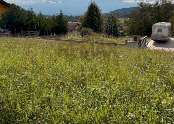 Giardino - Terreno edificabile Via Rovaia
 
Snc, Belluno - foto 7