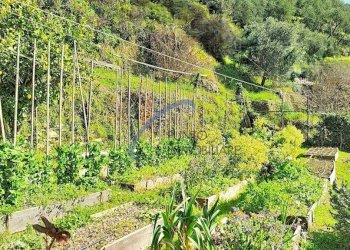 Foto 20 - Casa semi indipendente San Colombano Certenoli - foto 20