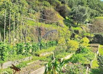 Foto 22 - Casa semi indipendente San Colombano Certenoli - foto 22