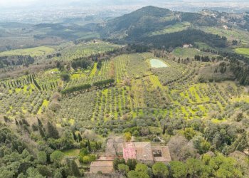 Foto 3 - Villa Via Salviati, Firenze - photo 3