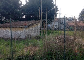 Giardino - Terreno edificabile via Posorti
 
22, Vergiate - foto 8