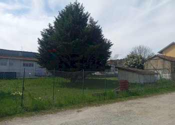 Giardino - Terreno edificabile via Posorti
 
22, Vergiate - foto 9