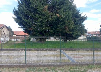 Giardino - Terreno edificabile via Posorti
 
22, Vergiate - foto 13