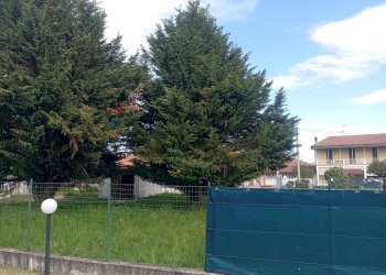 Giardino - Terreno edificabile via Posorti
 
22, Vergiate - foto 16