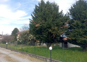 Giardino - Terreno edificabile via Posorti
 
22, Vergiate - foto 17