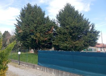 Giardino - Terreno edificabile via Posorti
 
22, Vergiate - foto 21