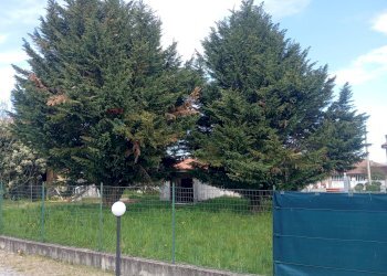 Giardino - Terreno edificabile via Posorti
 
22, Vergiate - foto 22