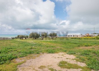 Giardino - Casa indipendente Contrada Corvo, Scicli - foto 39