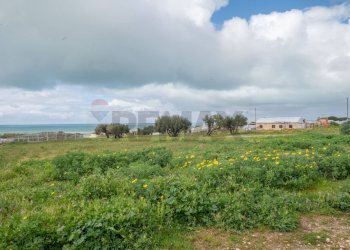 Giardino - Casa indipendente Contrada Corvo, Scicli - foto 44
