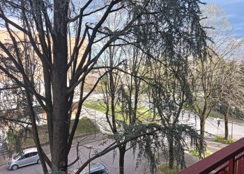 Foto 14 - Quadrilocale Via D. Laurini
 
6, Fidenza - foto 14