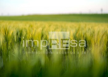 Foto 5 - Terreno edificabile Via Pralongo, Monastier di Treviso - foto 5