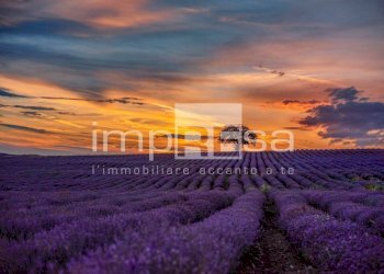 Foto 8 - Terreno edificabile Via Pralongo, Monastier di Treviso - foto 8