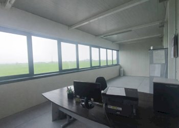 Foto 6 - Shed San Possidonio - photo 6