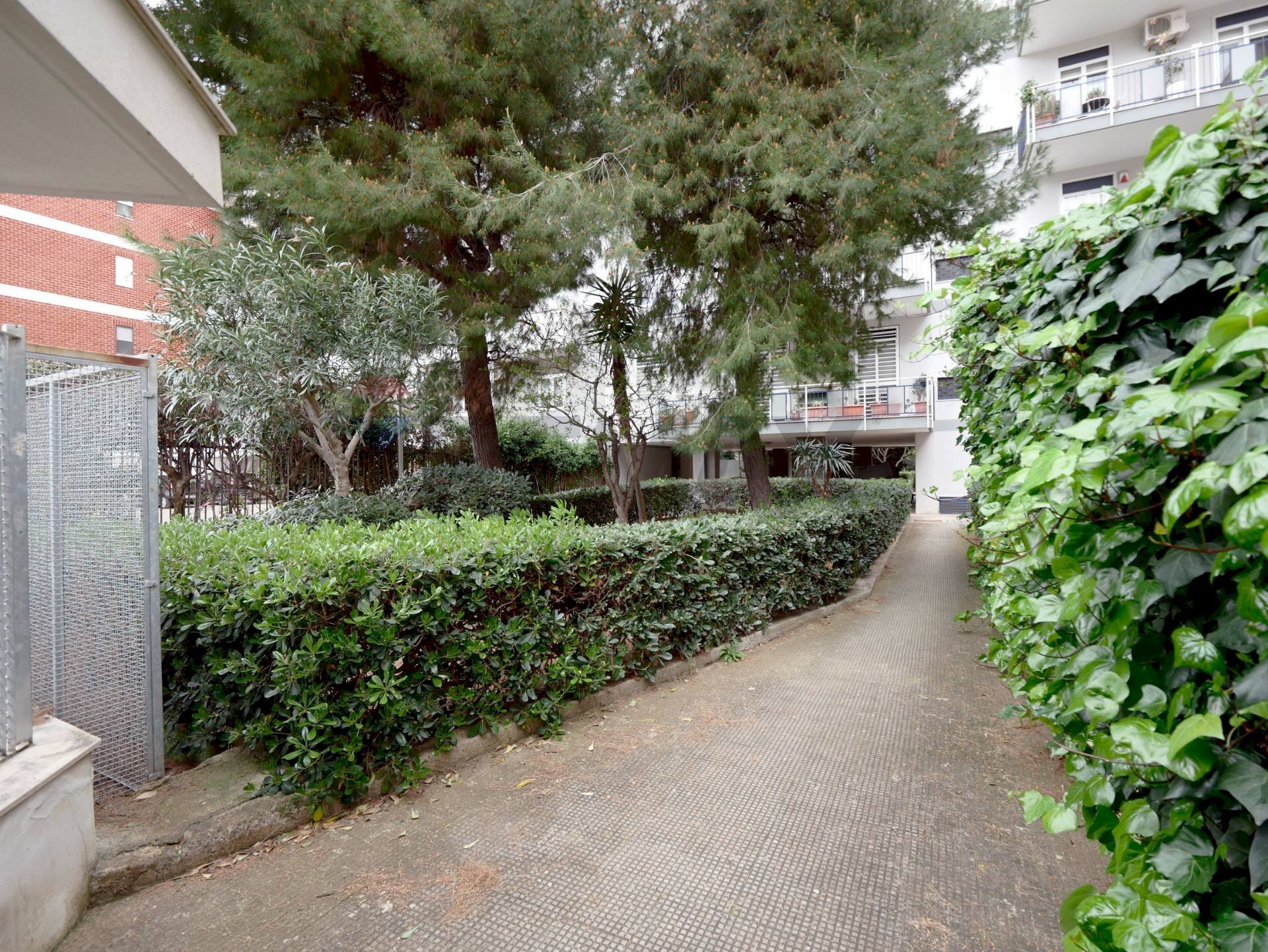 Giardino - Quadrilocale Via Michele Troisi
 
61, Bari - foto 2