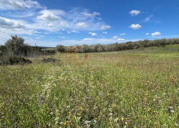 Foto 2 - Agricultural land Caniga, prato comunale, Sassari - photo 2