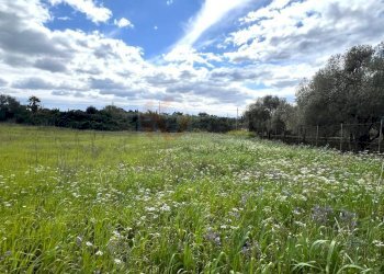 Foto 7 - Agricultural land Caniga, prato comunale, Sassari - photo 7