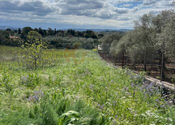 Foto 10 - Agricultural land Caniga, prato comunale, Sassari - photo 10