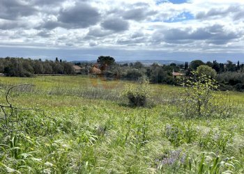 Foto 11 - Agricultural land Caniga, prato comunale, Sassari - photo 11