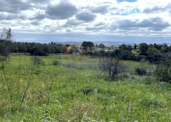 Foto 12 - Agricultural land Caniga, prato comunale, Sassari - photo 12