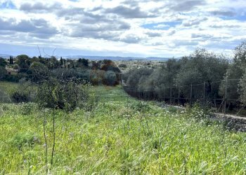 Foto 13 - Agricultural land Caniga, prato comunale, Sassari - photo 13