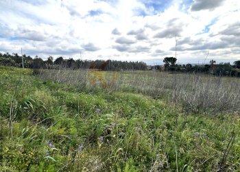Foto 14 - Agricultural land Caniga, prato comunale, Sassari - photo 14