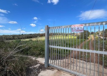 Foto 15 - Agricultural land Caniga, prato comunale, Sassari - photo 15