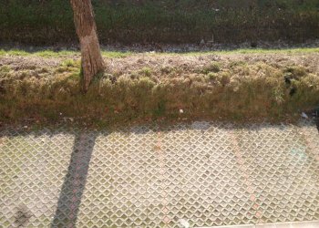 Foto 8 - Trilocale Massa Lombarda - foto 8