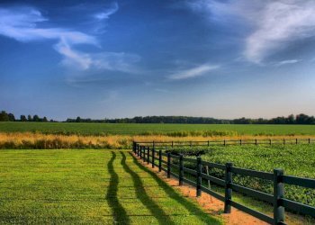 Foto 1 - Terreno agricolo Lugo - foto 1