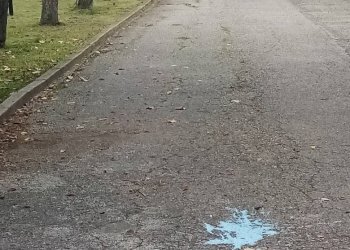 Foto 40 - Casa semi indipendente Solarolo - foto 40