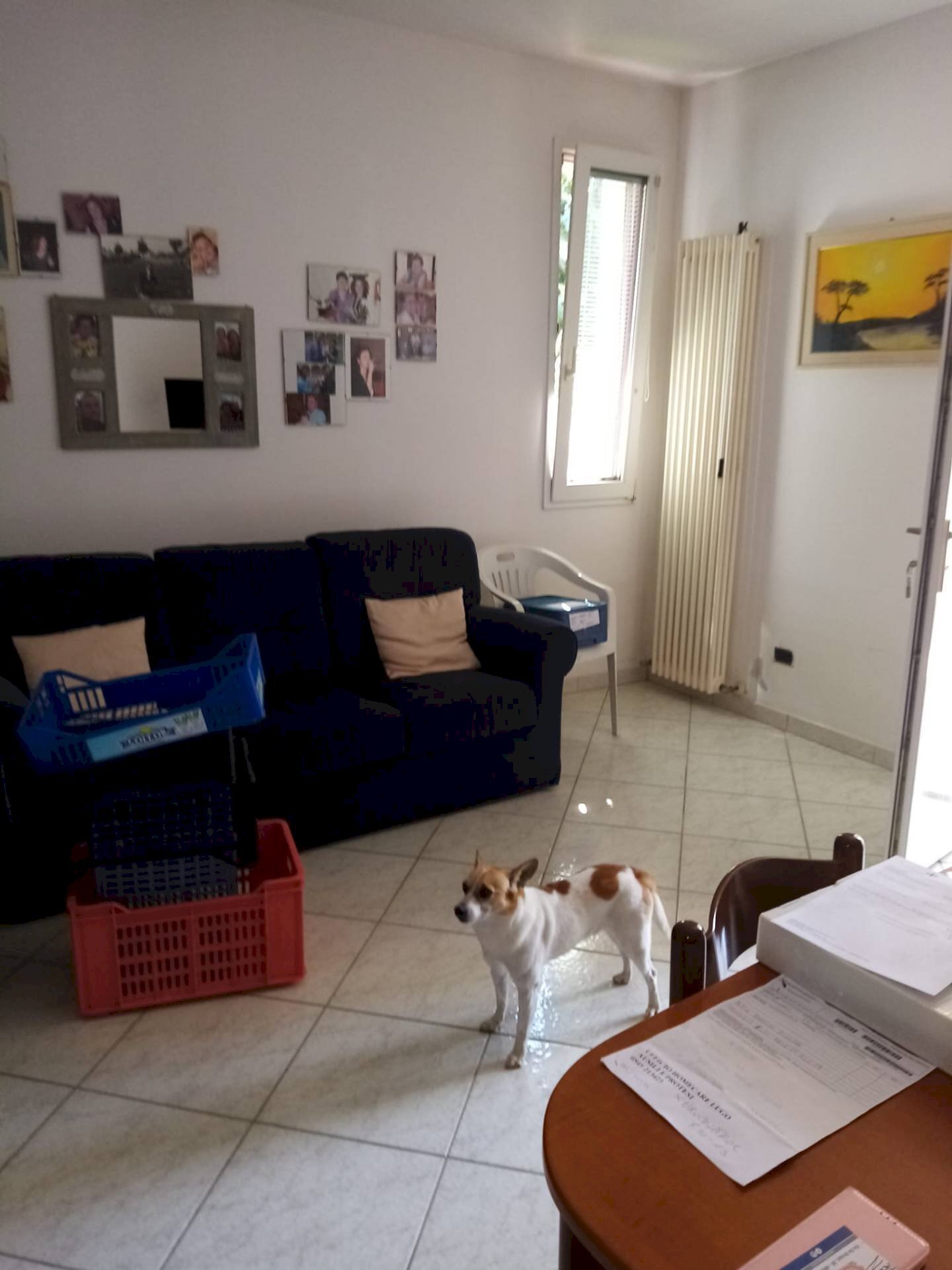 Foto 2 - Casa semi indipendente Sant'Agata sul Santerno - foto 2